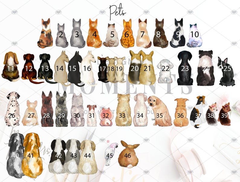 custom pet options