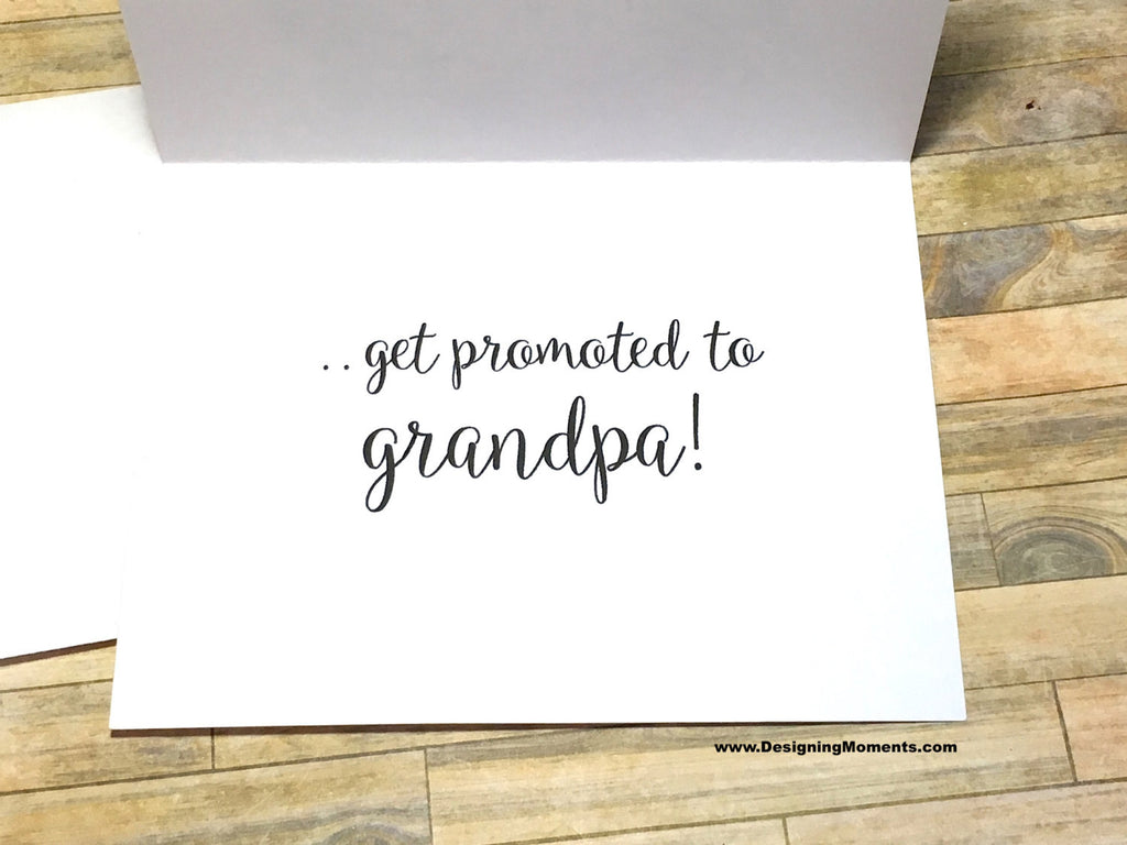 Succulent The Best Dads Get Promoted to Grandpa Card